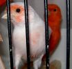 DSC05633_hf.jpg