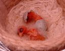 DSCN8125.jpg