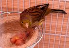 DSCN8169.jpg
