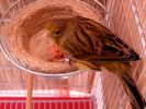DSCN8170.jpg
