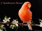 DSC_3222a.jpg