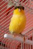 DSC_5314.jpg