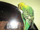 IMG_4442.JPG