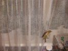 IMG_8431.JPG