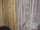 IMG_8447.JPG