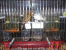 Файл=IMG_1527.JPG
Объём=55КБ
Размеры=533x400
Дата=Апр 28, 2010 IMG_1527.JPG