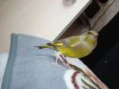 DSC04385.JPG