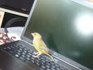 DSC04406.JPG