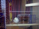 140720102755.jpg