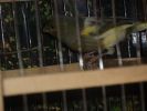 P9090154~0.JPG