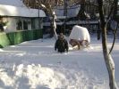 DSC03598.JPG