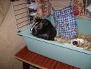DSC04437.JPG