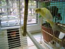 IMG_0037.jpg