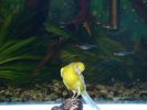 DSC07650.JPG
