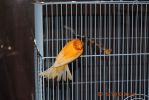 DSC_0314.JPG