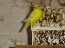 DSC03908.JPG
