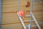 DSC_0316.JPG