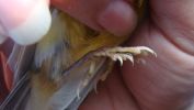 DSC01550.JPG