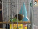DSC06172~0.JPG