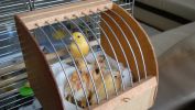 DSC01846.JPG