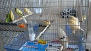 DSC01879.JPG