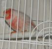 DSC05391.JPG