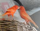 DSC05424.JPG
