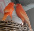 DSC05425.JPG