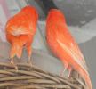 DSC05426.JPG