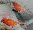 DSC05433.JPG