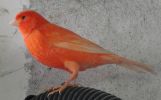 DSC05438.JPG
