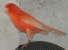 DSC05441.JPG