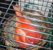DSC05548.JPG