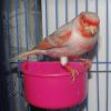 DSC05556.JPG
