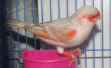 DSC05557.JPG