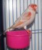 DSC05563.JPG