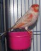 DSC05564.JPG