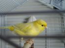 DSC00022.JPG