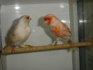 DSC08555.JPG