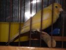 DSCF0658.JPG