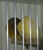 DSC023955.jpg