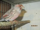 IMG_0080~0.JPG