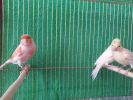 20140614_150502.jpg