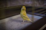 DSC_0181.jpg
