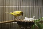 IMG_1019.JPG