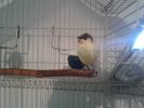 20150418_094808.jpg