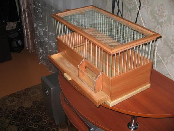 IMG_0008_650x488.JPG