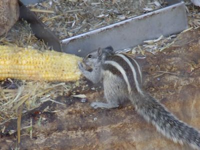 DSCF0476.JPG