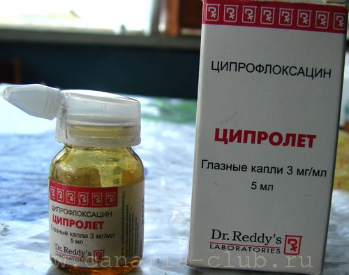 DSC02827-m.jpg