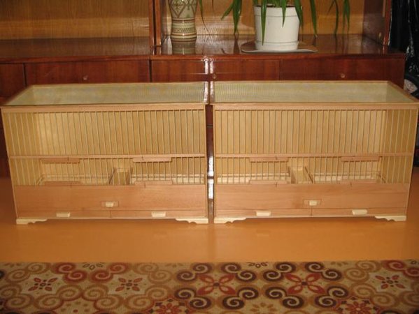 IMG_0001_650x488.JPG